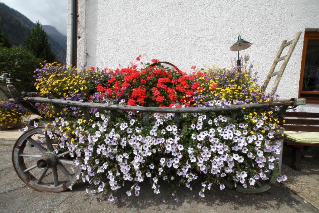 Pension Konigshof Mallnitz Exteriér fotografie